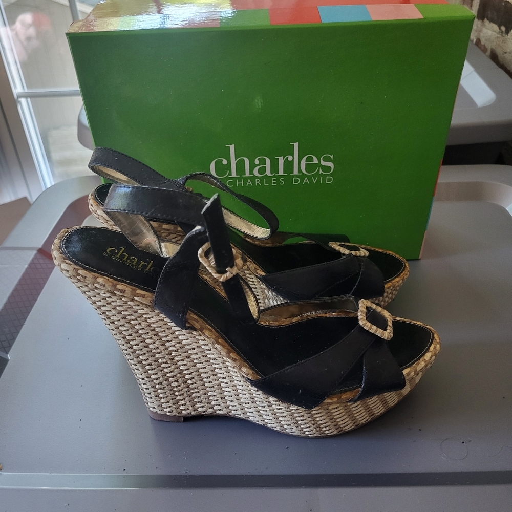5/10$ Charles David Reggae Wedge Sandals Size 10